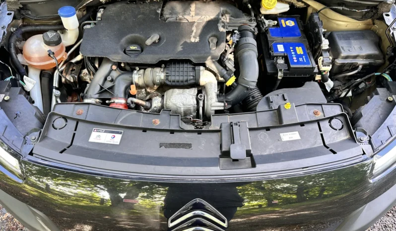 Citroen C4 Cactus 2015 full